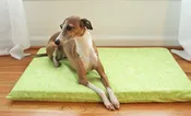 Dog MAT Cover, Lime