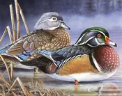 "2020 Wisconsin Duck Stamp Print"
