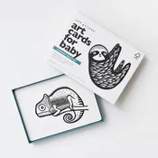 Art Cards for Baby - Rainforest Animals - Infant Flash Cards
