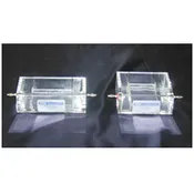 Lantern Slide Electrophoresis System