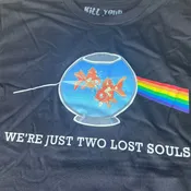 Two Lost Souls
