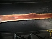 #11500 Walnut Slab