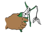 Bypass Pruners — OurTools.org