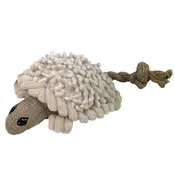 10" Natural Turtle