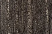Catskill Carpet