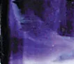 135 Cobalt Violet