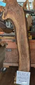 Black Walnut