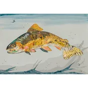 High and Dry Cutthroat by Dolan Geiman — Saddletree Gallery & Framing