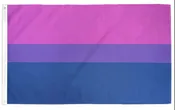 2’x3’ Bisexual Pride Flag