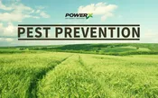Pest Control Service Orders