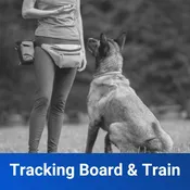 Tracking Board and Train