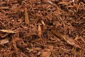 Natural Pine (Brown)