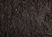Color Enhanced Hardwood Bark