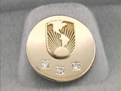 20 Year Lapel Pin or Charm