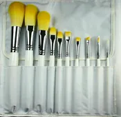10 pc. Professional Brush Set