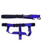2 HOUNDS DESIGN Freedom No-Pull Harness & Leash 1 inch Royal Blue