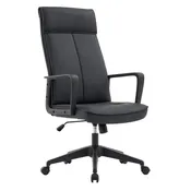 Aiaria Ergonomic High-Back Leather Office Chair with Adjustable Height, Swivel, Tilt, and Double Wheel Casters