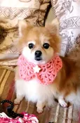 Peach Crocheted Collar with Lava Heart Diffuser
