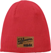 2025 Wonderful Life Beanie