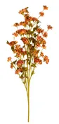 20" Dried Floral Spray