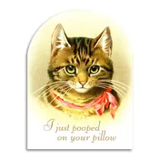 Bad Betty Greeting Co. - I Just Pooped on Your Pillow - Funny Cat Lover Card