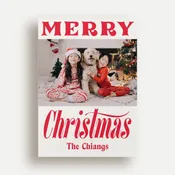 Bold Cheer Holiday Card