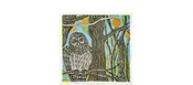 Barred Owls in Oak Forest #2 — Your Site Title