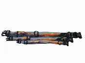 Aspen Maroon Bells Fall Colorado Dog Collar