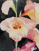 Glory Glads