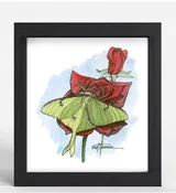 "Moth and Roses" Print