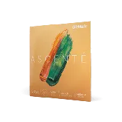 Ascenté Viola String Set
