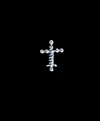 Sterling Silver Cross Lapel Pin — Discover Laminin