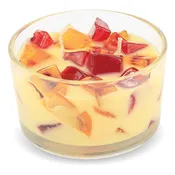 2-Wick Color Bowl Candle - TAHITIAN VANILLA