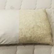 Berkeley Ergonomics Gummi Shred Pillow