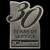Die Struck Without Enamel Lapel Pin