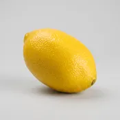 3" Weighted Artificial Lemon Yellow Set of 12– Realistic Faux Fruit Decor