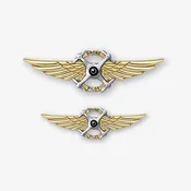 Drone Pilot Uniform Insignia