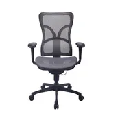 All-mesh Multi-function Task Chair