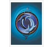 C-33 // Yin Yang Dolphin