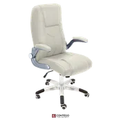 Customer Chair