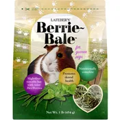 Berrie-Bale Mint for Guinea Pigs 1 lb