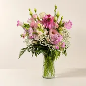 pink delight