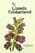 Bell Flower Corporate Promotion Seed Packet