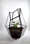 Custom Stained Glass Geometric Terrarium — Mountain Edge Refined Glass