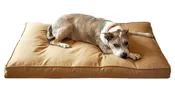 Additional 150 Days Chew Proof Bed Insurance Per Bed (350 Days Total)