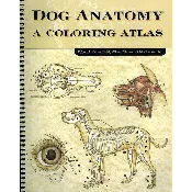 Dog Anatomy: A Coloring Atlas [Book]