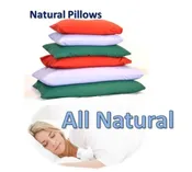 Buckwheat Pillow