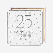25 Amazing Years Together Silver Anniversary Card
