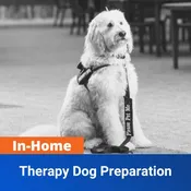 In-Home Therapy Dog Preparation