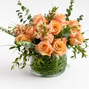love in orange